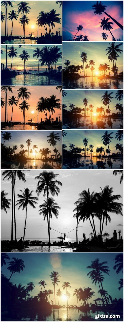 Beautiful Sunset With Palm Trees - 10 UHQ JPEG Stock Images