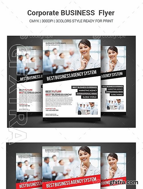 Business Flyer 10583