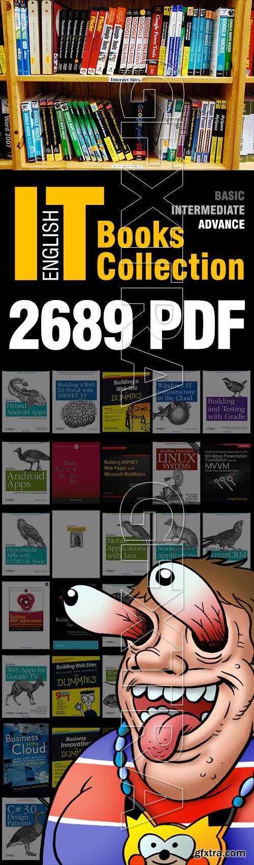 IT Books Collection, [Basic-Intermediate-Advance], English 2689xPDF