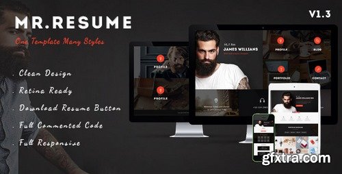 ThemeForest - Mr.Resume v1.3 - One Page Resume/Personal PSD Template 10692117