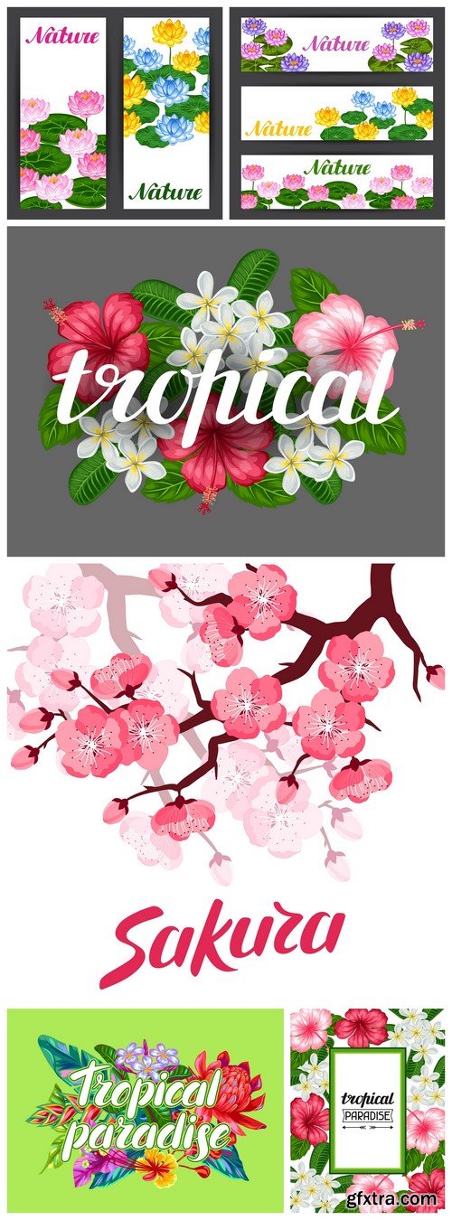Cards with tropical flowers and sakura 6X EPS