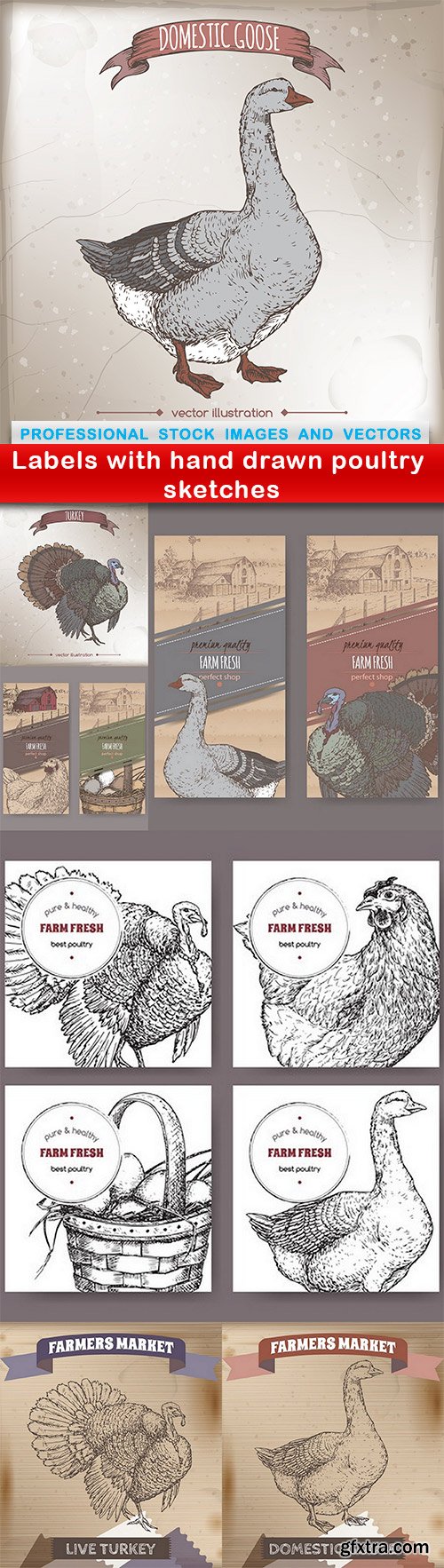 Labels with hand drawn poultry sketches - 7 EPS
