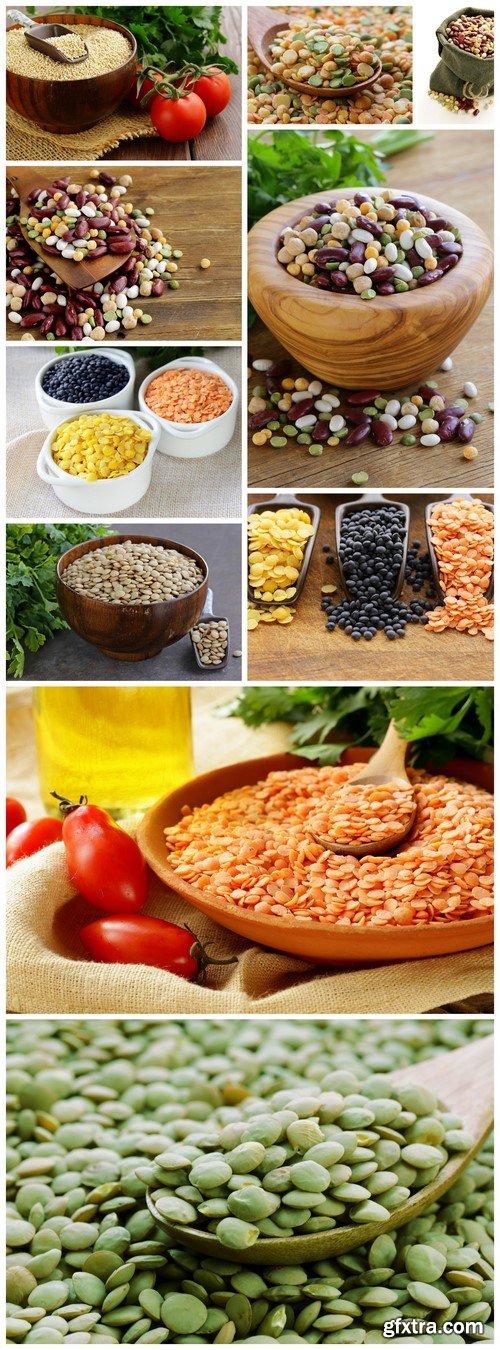 Cereals, legumes, lentils and haricot 10X JPEG