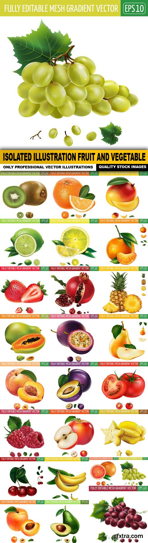Isolated Illustration Fruit And Vegetable - 25 Vector