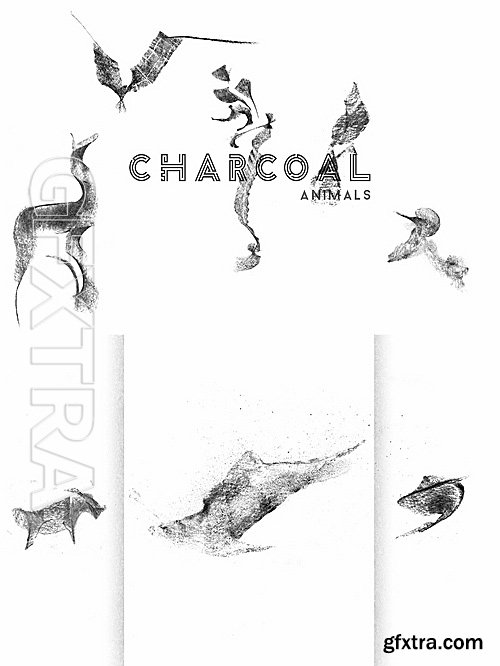 CM - Charcoal Animal Gestures 1139720