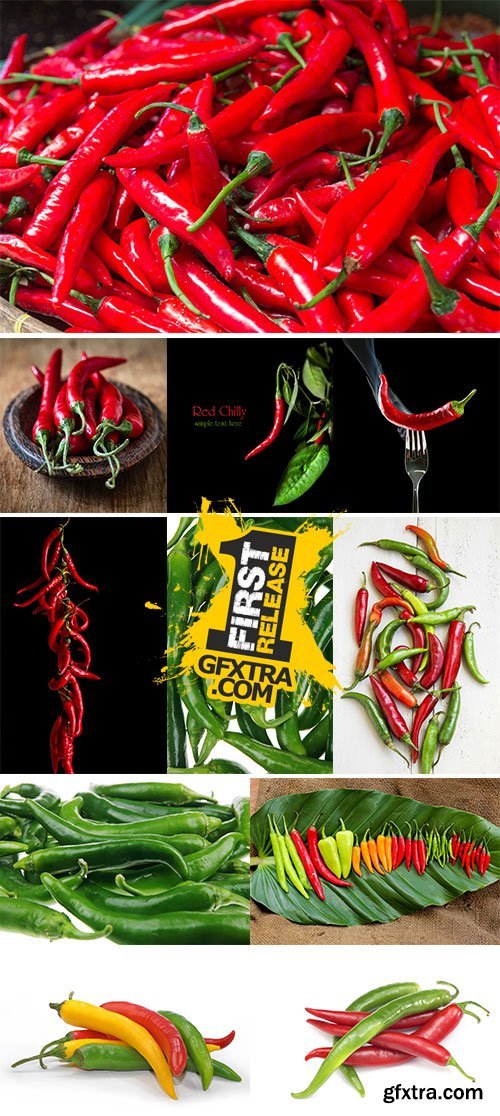 Fresh Red and Green Chillies - Stock Image