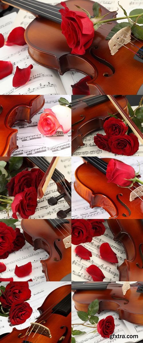 Violin, musical notes and roses