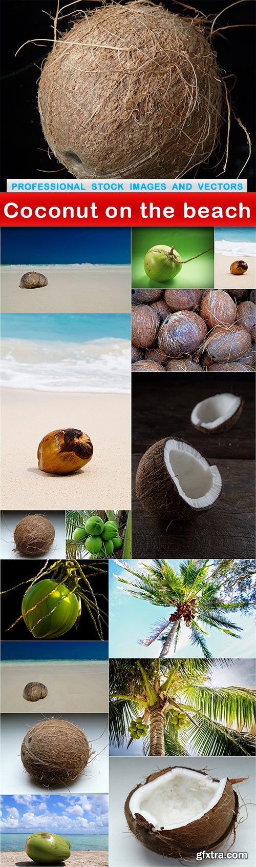 Coconut on the beach - 16 UHQ JPEG