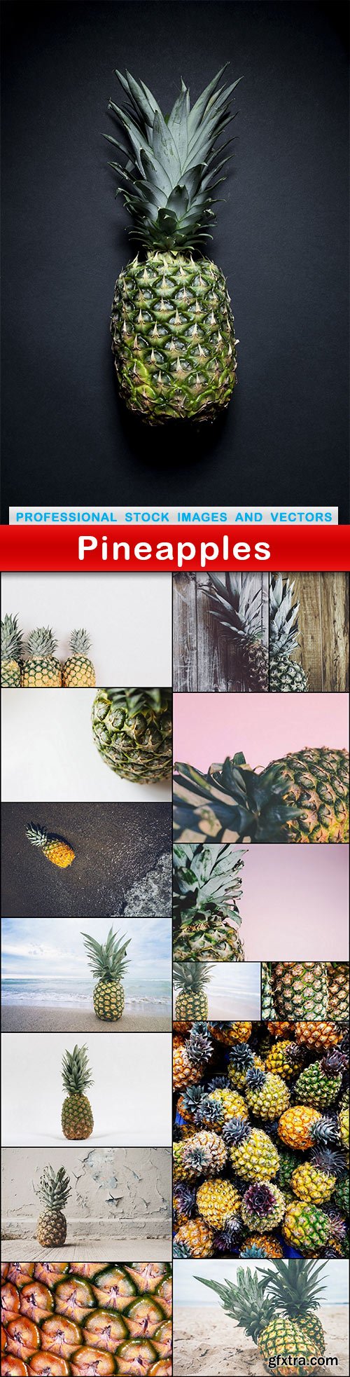 Pineapples - 16 UHQ JPEG