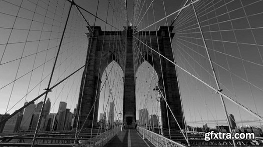 The Traveling Photographer: New York