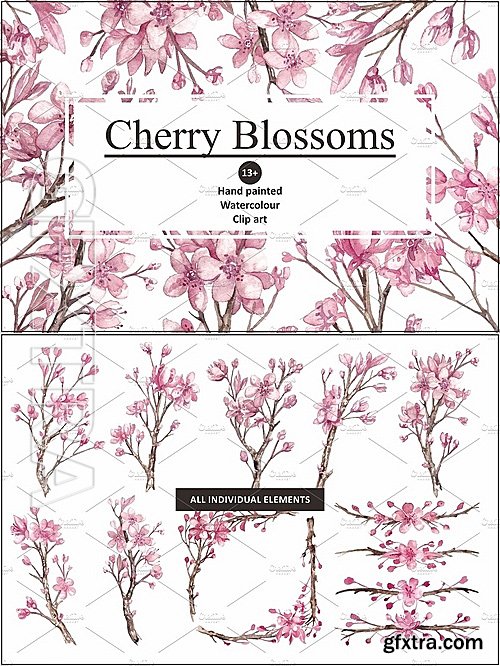 CM - Cherry Blossom Watercolour clipart 1143306