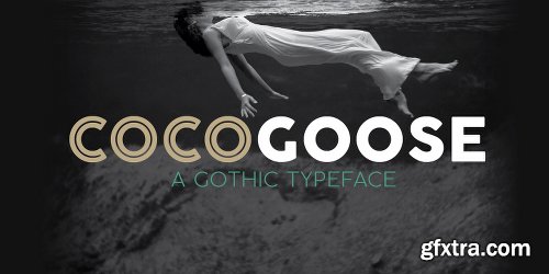 Cocogoose Pro Font Family - 17 Fonts