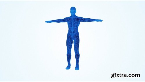 Blue 3d human anatomical model rotating