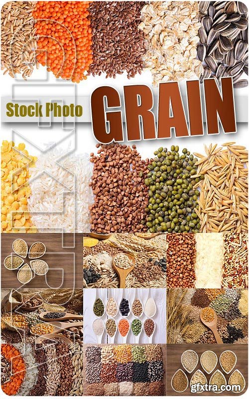 Grain - UHQ Stock Photo