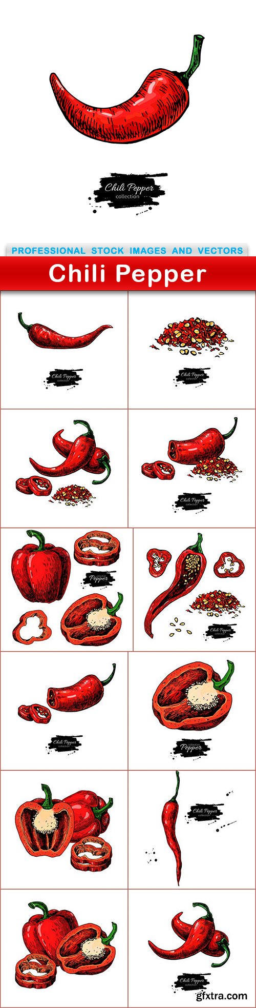 Chili Pepper - 13 EPS