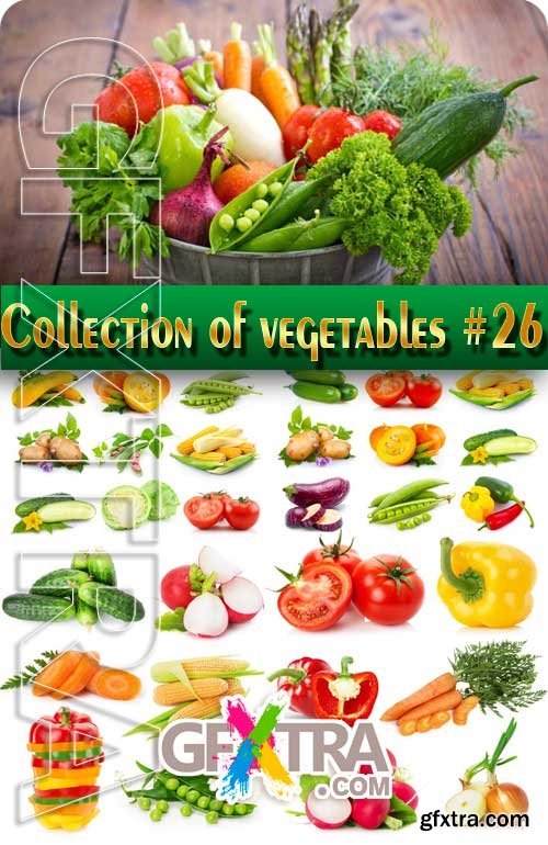 Food. Mega Collection. Vegetables #26 - Stock Photo