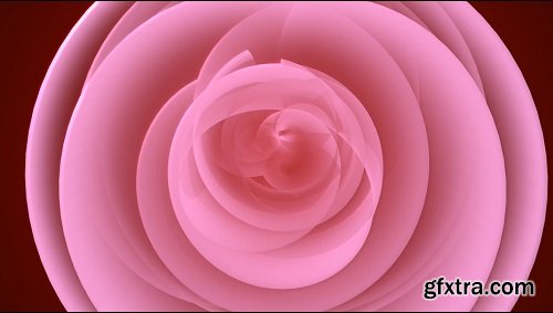 Rose petal spirals
