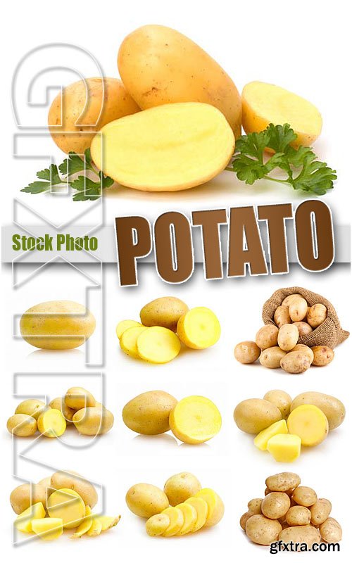 Potato - UHQ Stock Photo