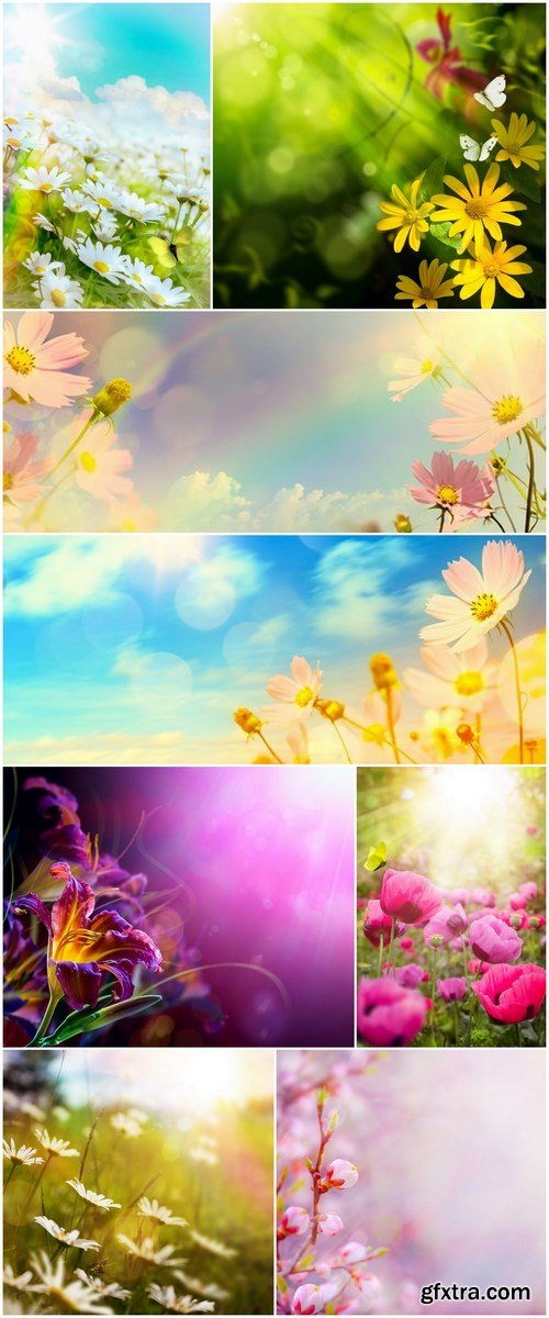 Abstract Floral Background - 8 UHQ JPEG Stock Images