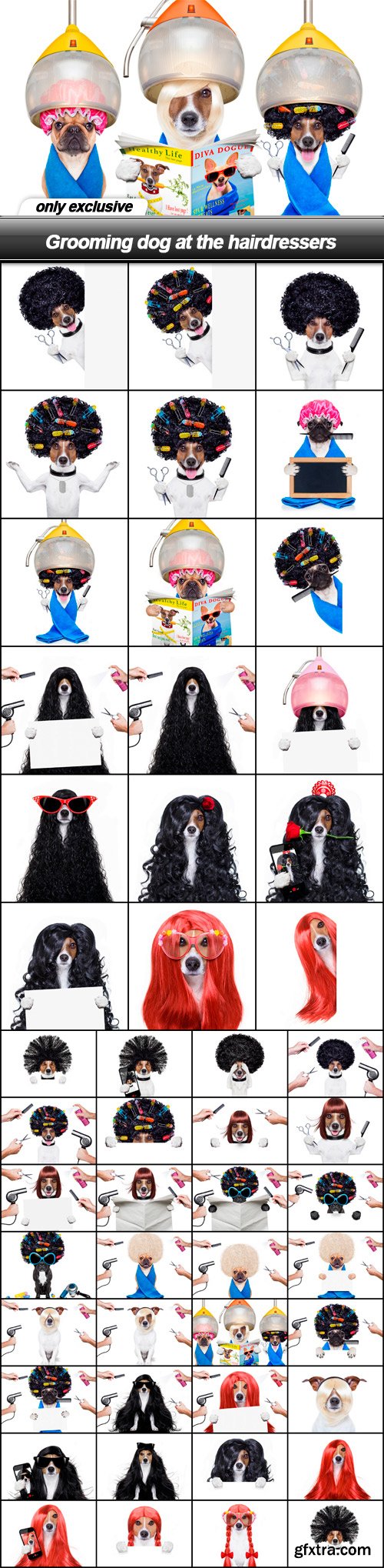 Grooming dog at the hairdressers - 50 UHQ JPEG