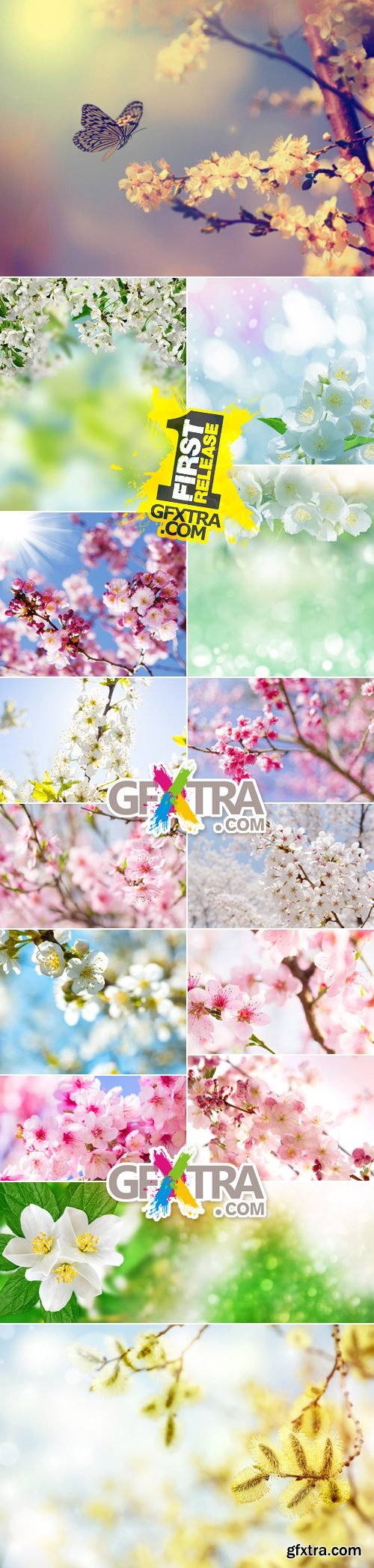 Stock Photo - Blooming, Flowering Trees