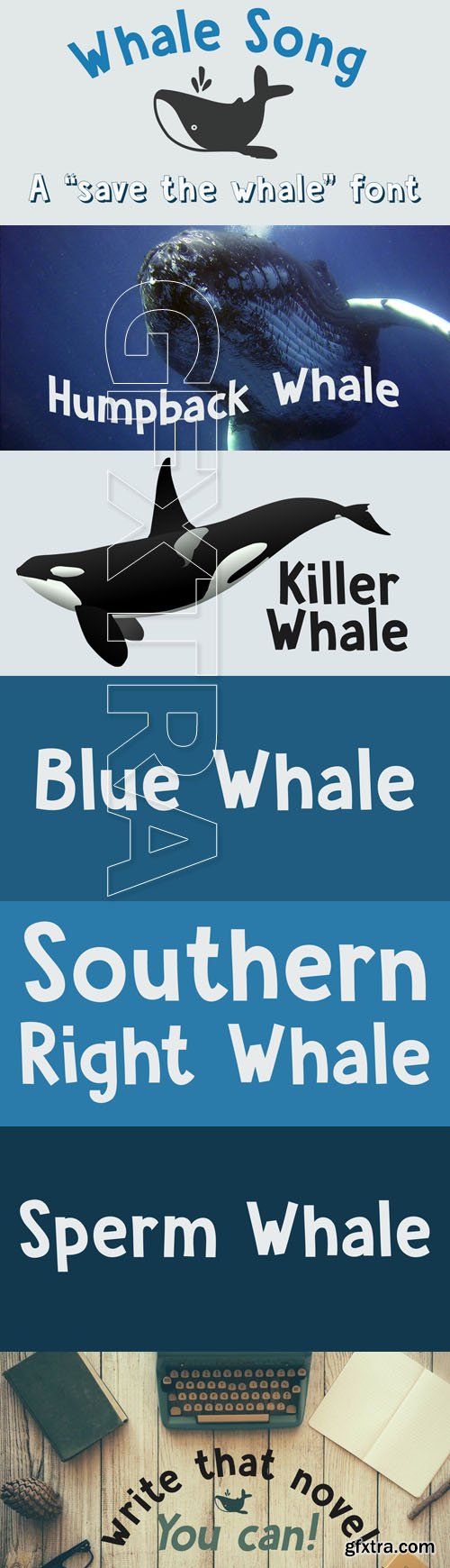 Whale Song Family font