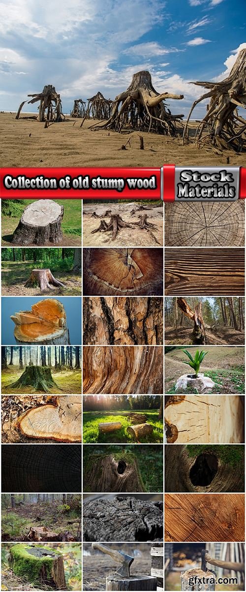 Collection of old stump wood bark pattern background is a piece of wood ax 25 HQ Jpeg