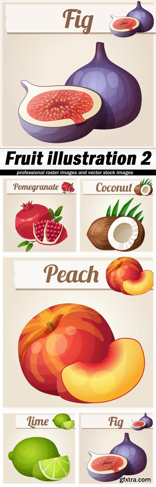 Fruit illustration 2 - 5 EPS