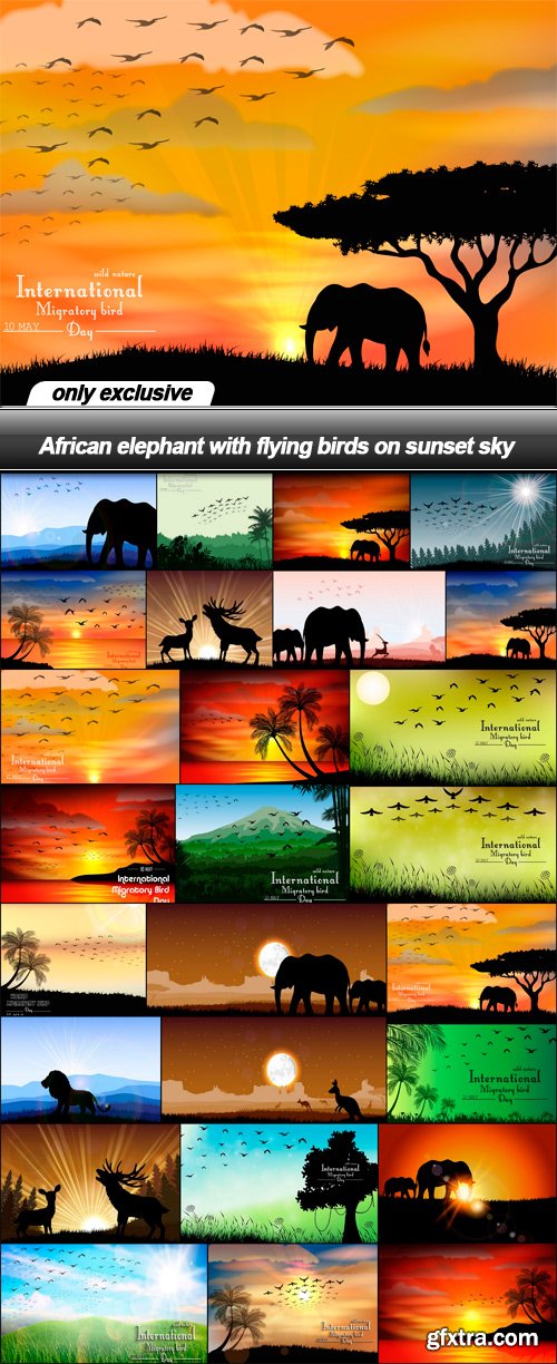 African elephant with flying birds on sunset sky - 26 EPS