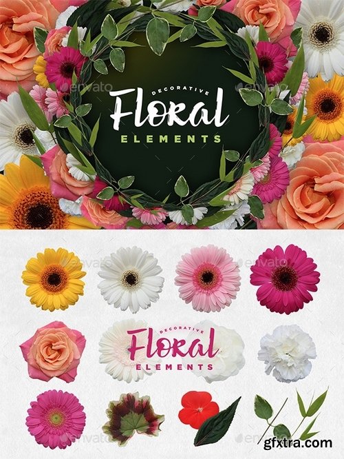 GraphicRiver - Decorative Floral Elements Kit 17280344