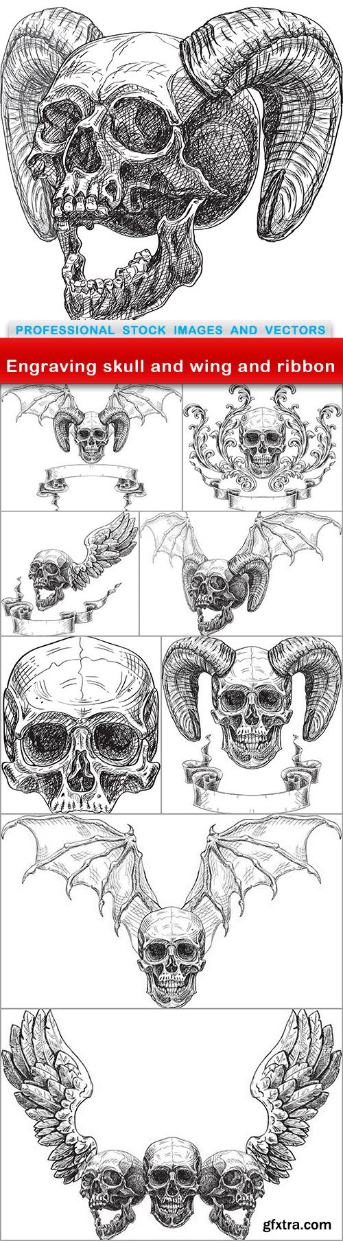 Engraving skull and wing and ribbon - 9 EPS