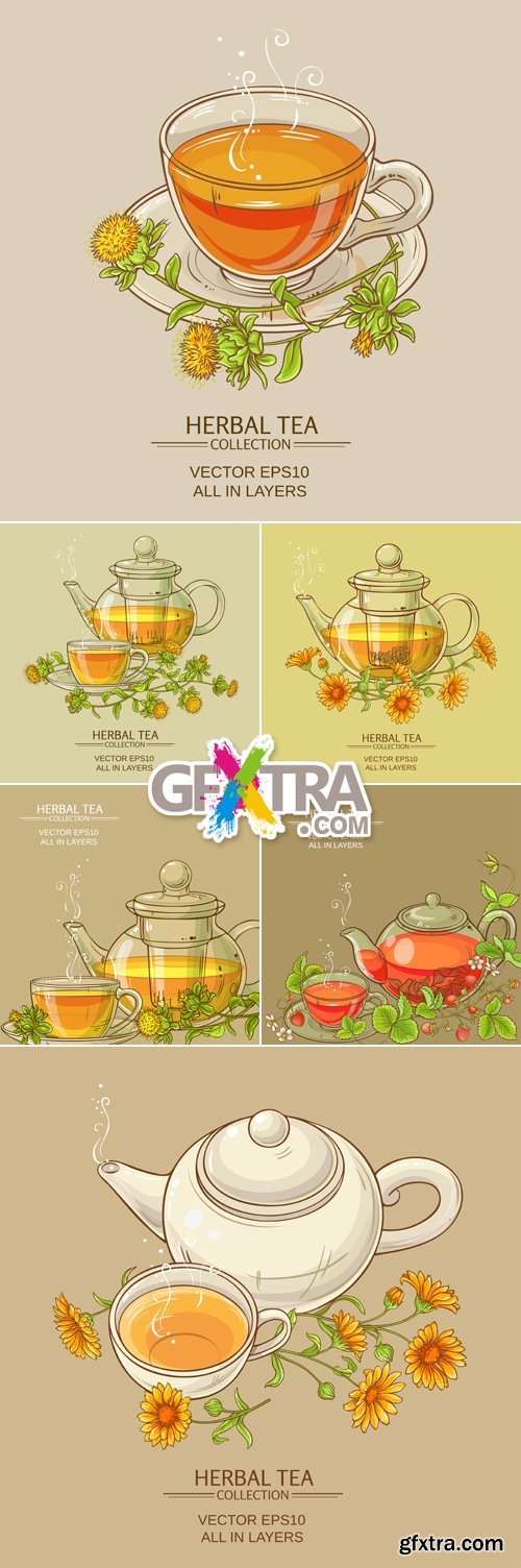 Herbal Tea Backgrounds Vector