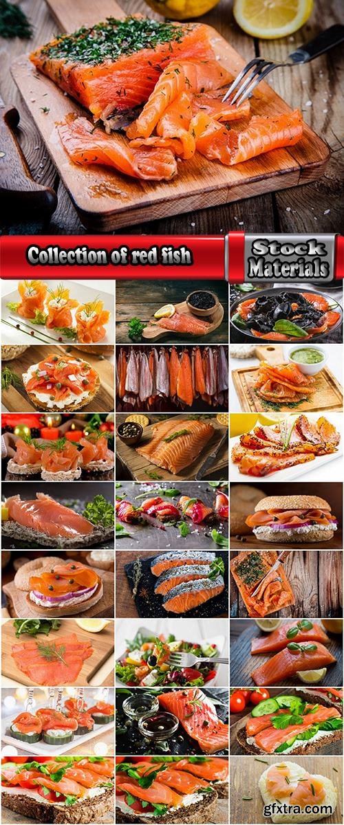 Collection of red fish sandwich meat cutting sushi humpback salmon tuna 25 HQ Jpeg