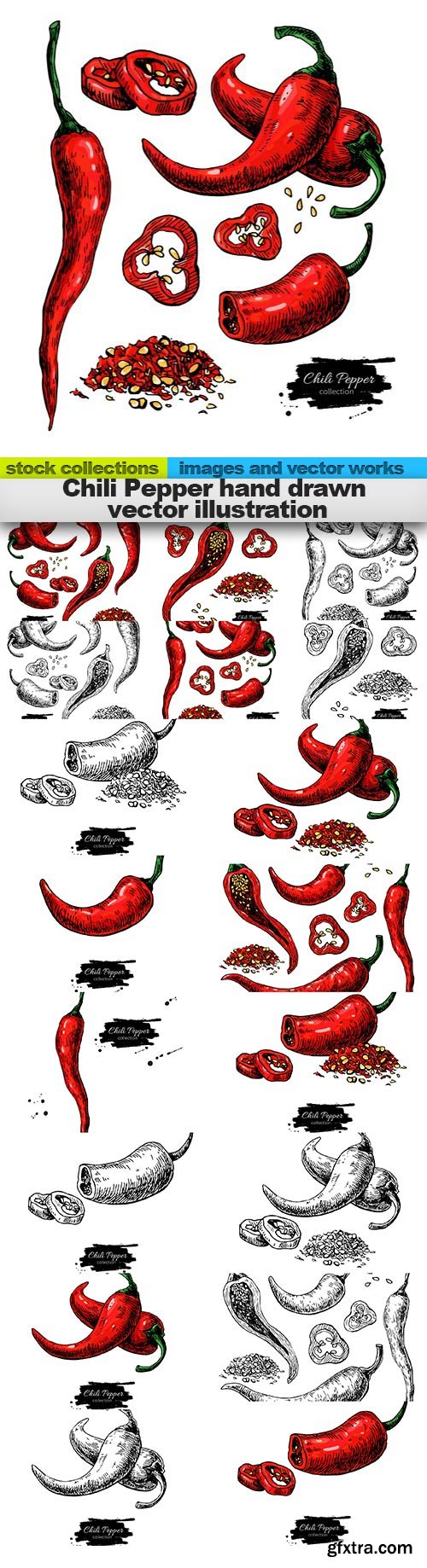Chili Pepper hand drawn vector illustration, 18 x EPS