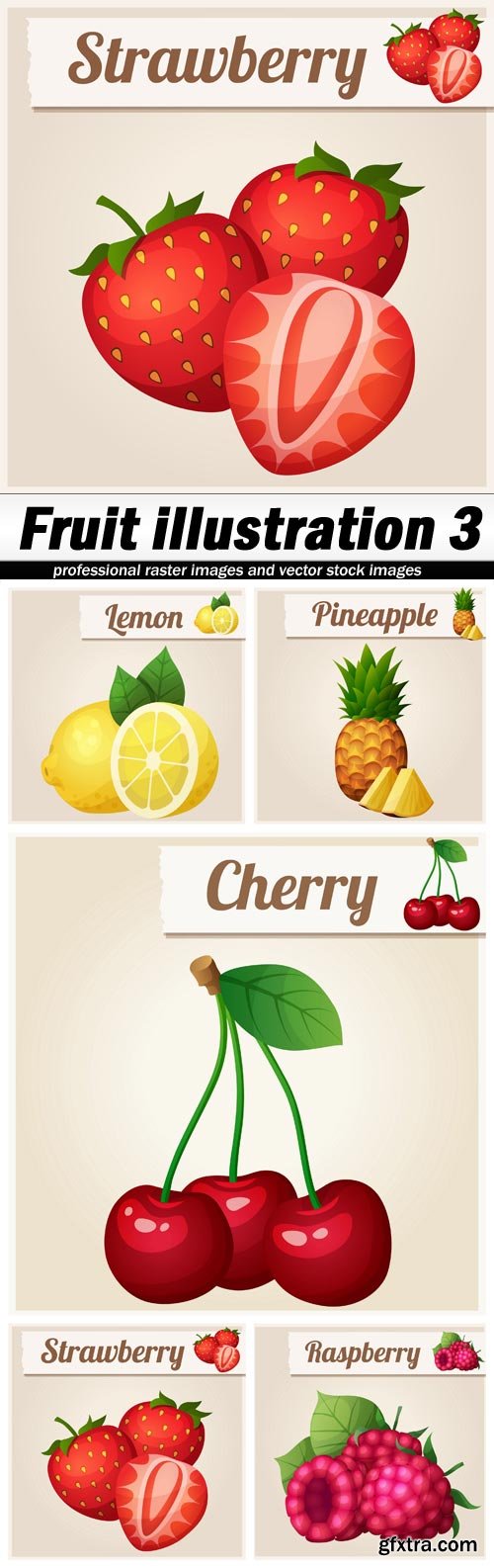 Fruit illustration 3 - 5 EPS