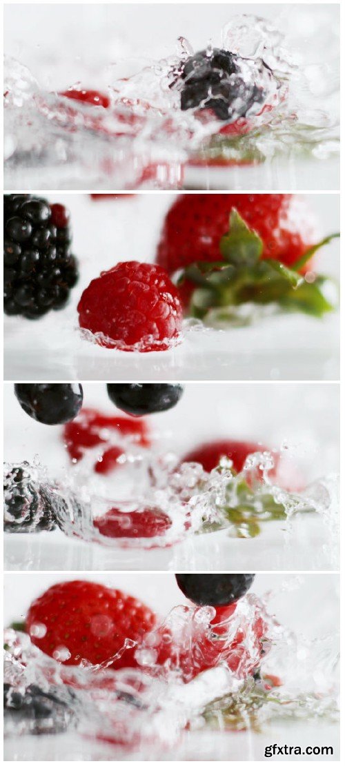 Video footage Berries water splash HD