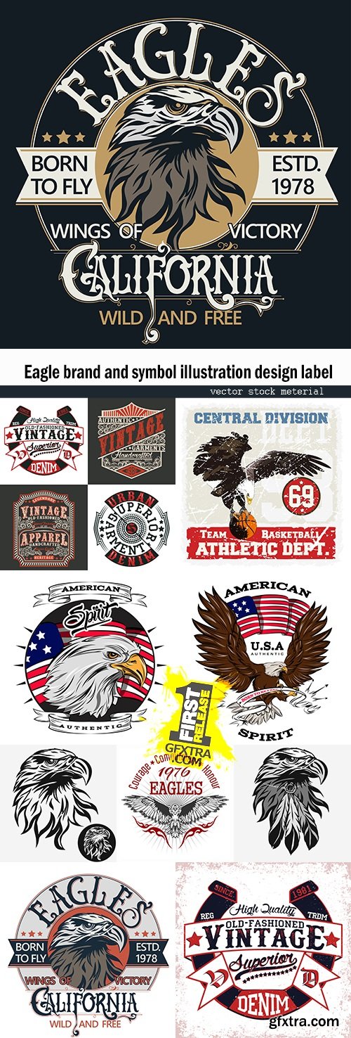 Eagle brand and symbol illustration design label