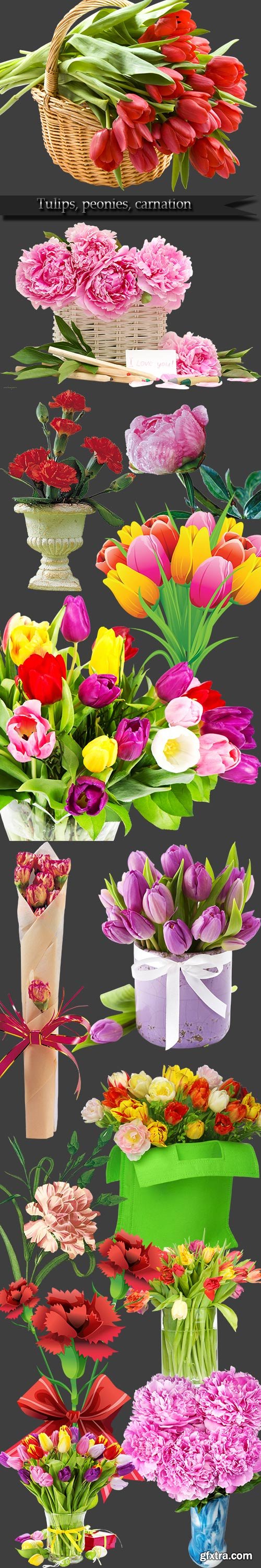 Tulips, peonies, carnation on a transparent background