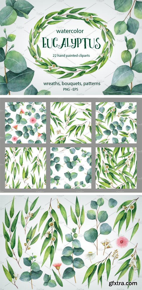 CM 1187860 - Watercolor Eucalyptus