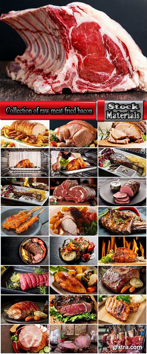 Collection of raw meat fried bacon smoked sturgeon delicacy dish 25 HQ Jpeg