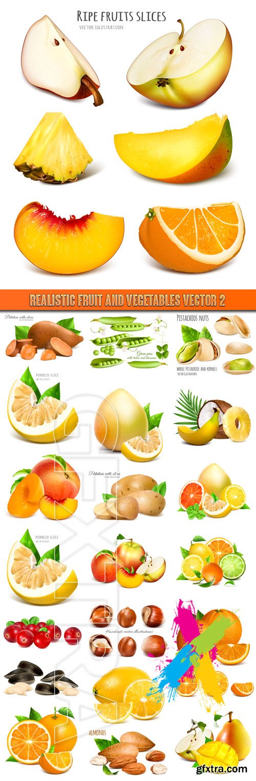 Realistic fruit and vegetables vector 2