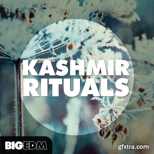 Big EDM Kashmir Rituals WAV Sylenth Patches-FANTASTiC