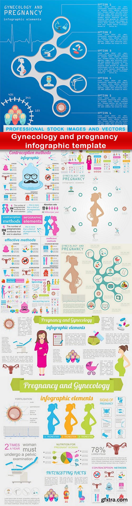 Gynecology and pregnancy infographic template - 11 EPS
