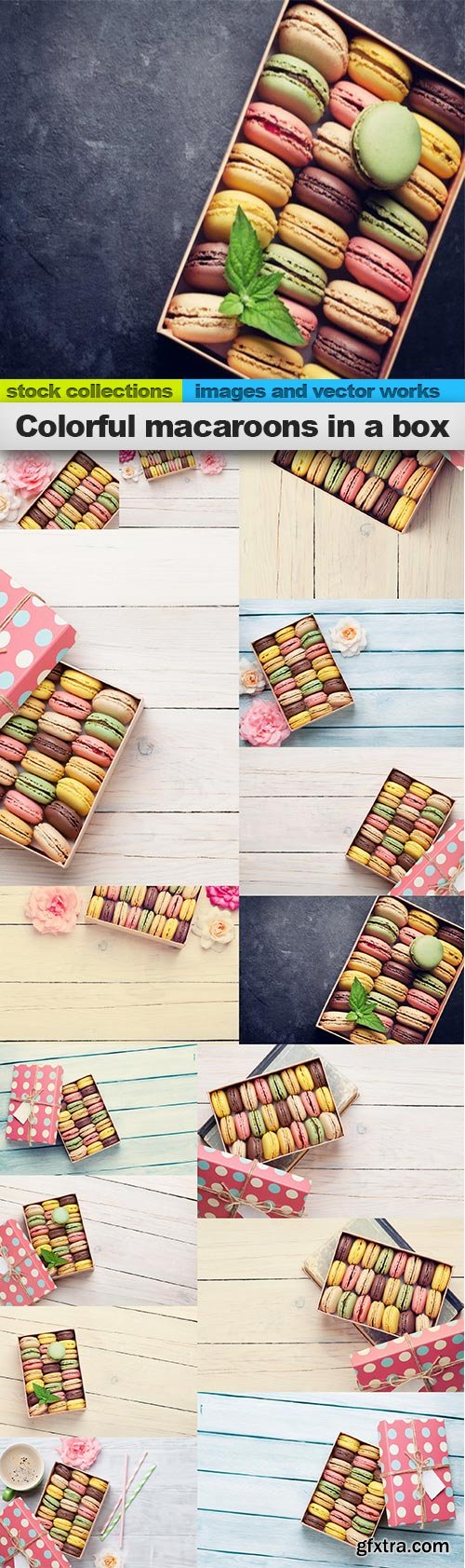 Colorful macaroons in a box, 15 x UHQ JPEG
