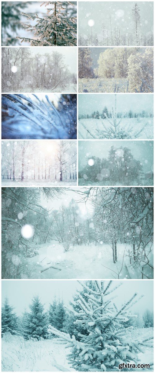 Snowy winter landscape in forest 10X JPEG
