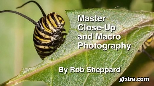 Master Close Up and Macro Nature Photography