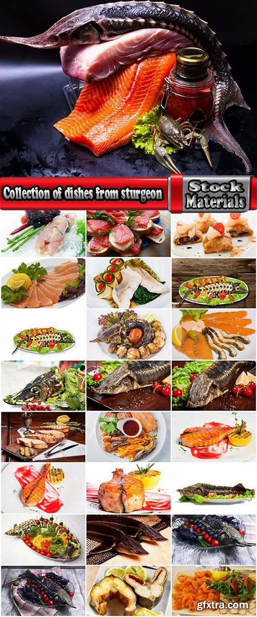 Collection of dishes from sturgeon fish fried delicacy red white meat 25 HQ Jpeg