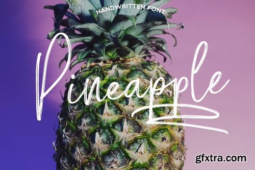CreativeMarket Pineapple Script 1171551