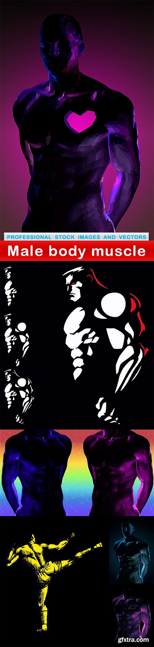 Male body muscle - 6 EPS
