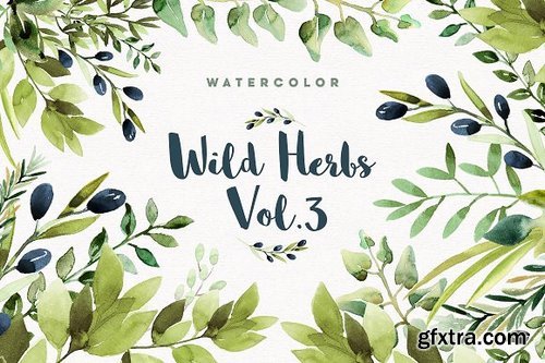 CM - Watercolor Wild Herbs vol.3 1255923